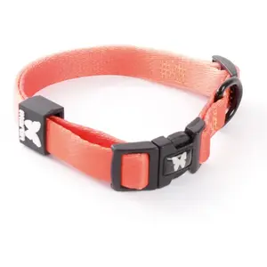 Collier pour chien nylon réglable Martin Sellier XS Orange 10x25/30 cm... pas cher