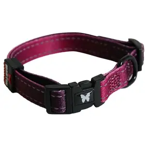 Collier pour chien Reflex - Bordeaux - L35-45cm pas cher