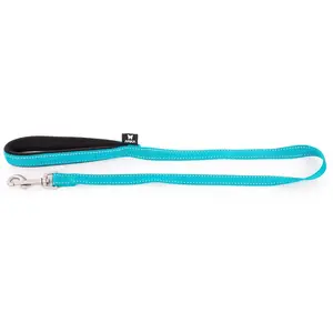 Martin Sellier Laisse Neo+ pour chien coloris bleu 2,5x100 cm