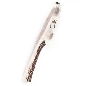 Demi bois de cerf biseau l 90-120g