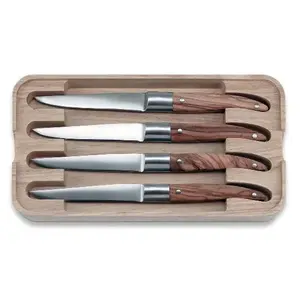 TARRERIAS BONJEAN Coffret 4 couteaux à steak - Laguiole Expression pas cher
