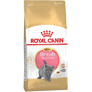 Comparateur de prix : 10kg Kitten British Shorthair Royal Canin Croquettes pour chat