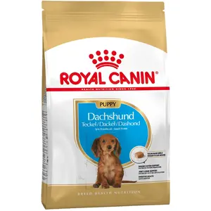 Croquettes pour chien teckel royal canin breed nutrition junior sac 1,5 kg pas cher