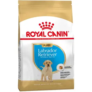 3kg Puppy Labrador Retriever Royal Canin Breed - Croquettes pour chiot pas cher