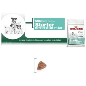 Mini Starter - Royal Canin pas cher