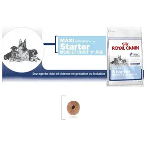 Royal Canin Croquettes chien STARTER M&B MAXI CHIENNE ET CHIOT JUSQU'A 2 MOIS 15KG