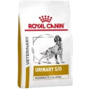 Royal Canin Veterinary Diet Chien Urinary S/O Moderate Calories 6,5kg pas cher