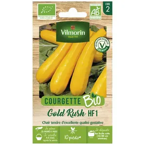 VILMORIN Sachet graines Courgette Jaune Gold Rush BIO pas cher