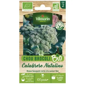 Vilmorin - Chou Brocoli Calabrese Natalino - bio pas cher