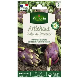 Artichaut Violet de Provence Vilmorin pas cher