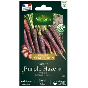 VILMORIN Sachet graines Carotte Violette Purple Haze- pas cher