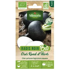 Radis Noir bio Vilmorin pas cher