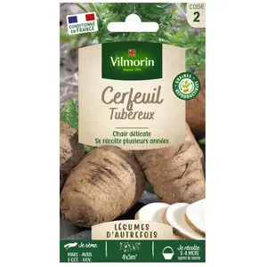 Vilmorin Cerfeuil Tubereux pas cher