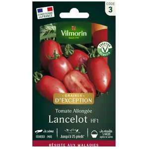 VILMORIN Tomate Lancelot HF1 Sachet de graines - Obtention Vilmorin