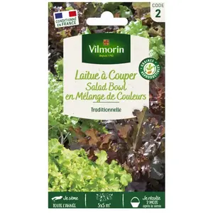 VILMORIN Mélange graines de Laitue à couper BOWL VERTE ET ROUGE