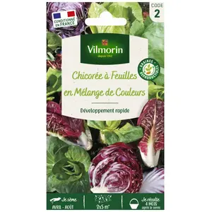 VILMORIN Chicorée à larges feuilles en mélange pas cher