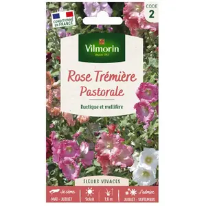 VILMORIN Rose trémière Pastorale pastel pas cher