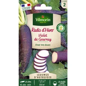Graines de radis variété "Violet de Gournay" Vilmorin semis de juin à août pas cher