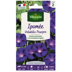 VILMORIN Ipomée pourpre pas cher