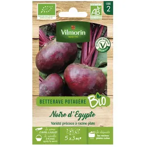 Betterave noire d Egypte bio Vilmorin pas cher