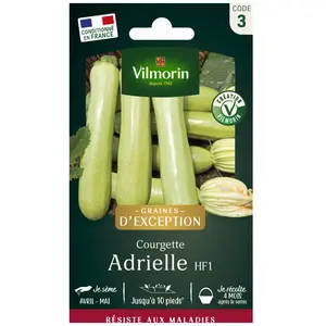VILMORIN Courgette Adrielle HF1 Création Vilmorin pas cher