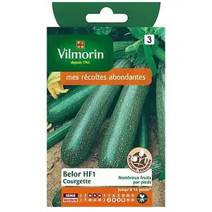 Comparateur de prix : VILMORIN Sachet graines de Courgette BELOR