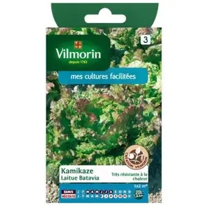 VILMORIN Sachet graines de Laitue Batavia KAMIKAZE Feuilles rouges