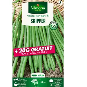 Vilmorin - Haricot Nain A Filet Sans Fil Skipper (Création Vilmorin)