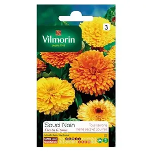VILMORIN Sachet graines Souci nain Fiesta Gitana pas cher