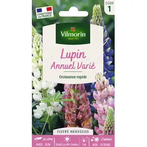 VILMORIN Lupin annuel en melange pas cher