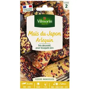 VILMORIN Maïs du Japon Arlequin pas cher