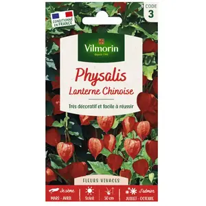 VILMORIN Physalis Lanterne chinoise pas cher