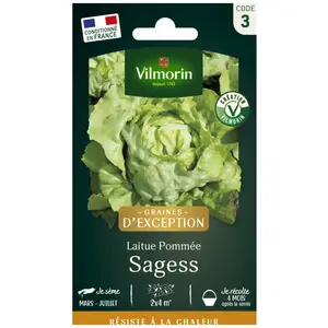 VILMORIN Sachet graines de Laitue Pommée SAGESS