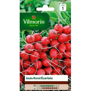 VILMORIN Radis rond écarlate