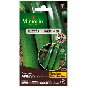 Vilmorin - Courgette Anissa HF1 - Graines d'Exception pas cher