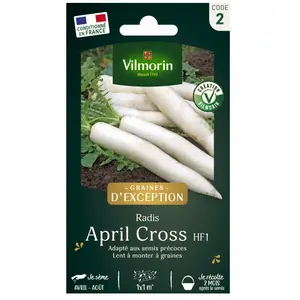 VILMORIN Radis Japonais April Cross pas cher