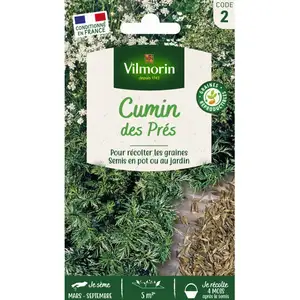 Vilmorin - Sachet graines Cumin des prés pas cher