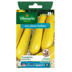 VILMORIN Courgette Orelia HF1 peau jaune pas cher