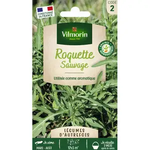 VILMORIN Roquette sauvage pas cher