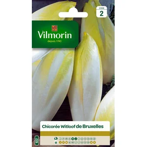 VILMORIN Chicorée Witloof Endive de Bruxelles pas cher