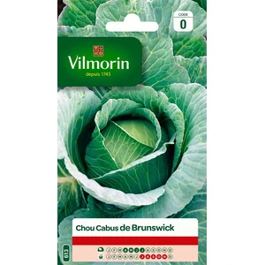 Graines de chou cabus variété "Brunswick" Vilmorin semis de mai à août pas cher