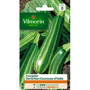 VILMORIN Courgette non coureuse d’Italie