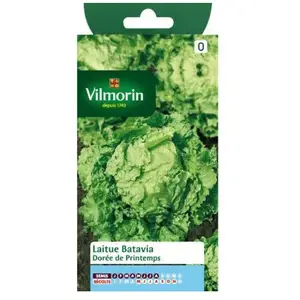 VILMORIN Laitue Batavia Dorée de printemps