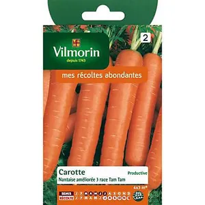 VILMORIN Carotte Nantaise améliorée 3 race Tam Tam rpl Tim Tom pas cher