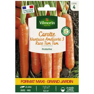 VILMORIN Carotte Nantaise améliorée 3 race Tam Tam Grand Jardin