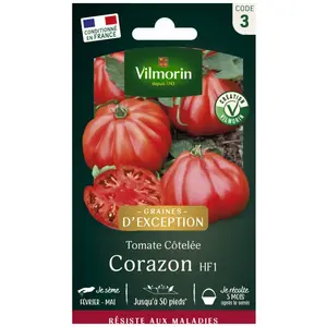 Vilmorin - Sachet graines Tomate coeur de boeuf Corazon HF1
