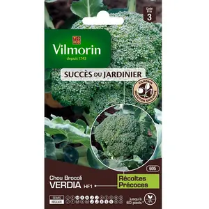 Comparateur de prix : Vilmorin 3360743 Pack De Graines Chou Brocoli Verdia Hf1 Création