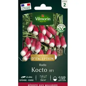 VILMORIN Radis Kocto pas cher