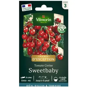 VILMORIN Tomate sweetbaby Sachet de graines