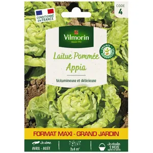VILMORIN Laitue Appia Grand Jardin pas cher